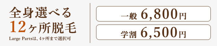 全身選べる12ヶ所脱毛