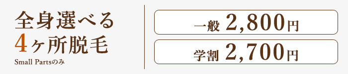 全身選べる4ヶ所脱毛