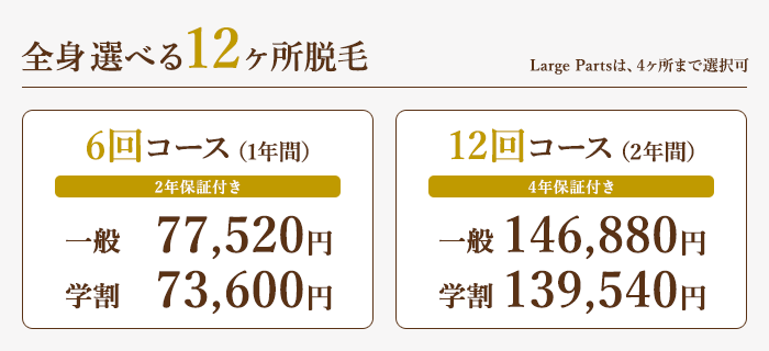 全身選べる12ヶ所脱毛