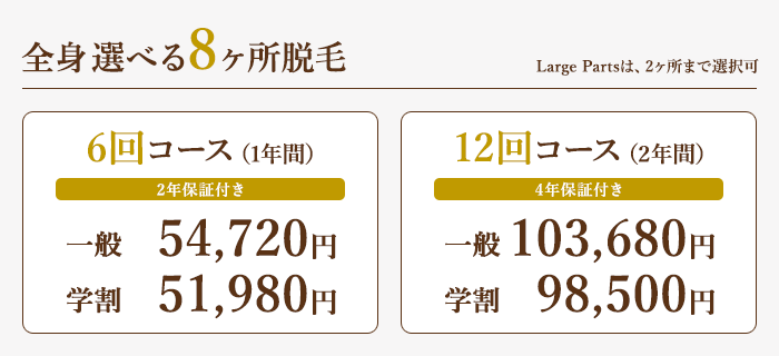 全身選べる8ヶ所脱毛