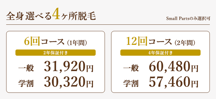 全身選べる4ヶ所脱毛