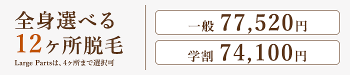 全身12ヶ所脱毛