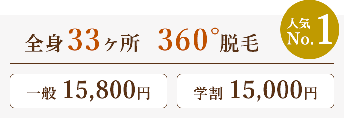 全身33ヶ所 360°脱毛