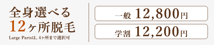 全身選べる12ヶ所脱毛