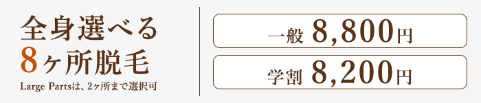 全身選べる8ヶ所脱毛
