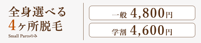 全身選べる4ヶ所脱毛