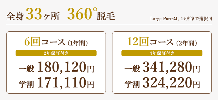 全身33ヶ所 360°脱毛