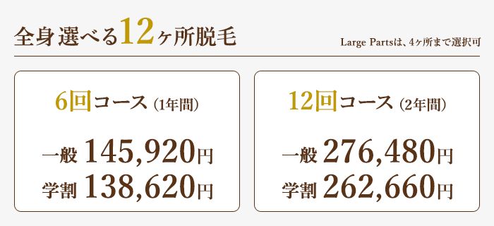 全身選べる12ヶ所脱毛