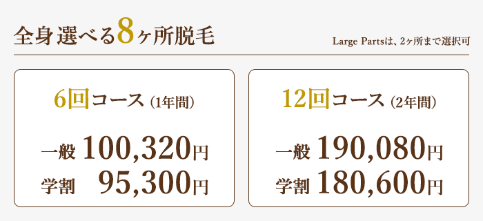 全身選べる8ヶ所脱毛