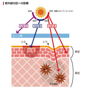 佐世保　エステ　紫外線